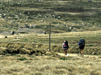 home-plan-gapyear